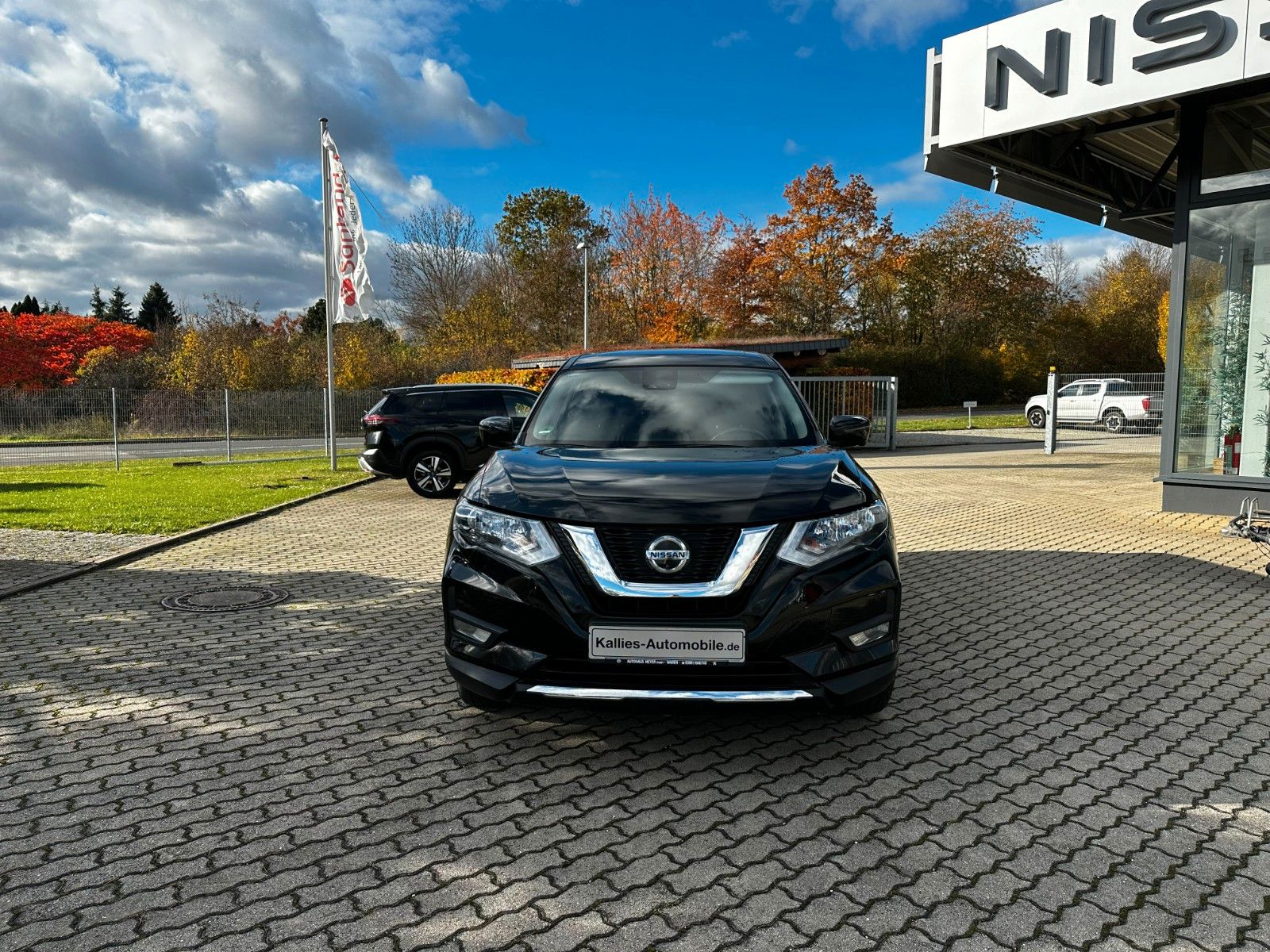 Fahrzeugabbildung Nissan X-Trail N-Way 4x4