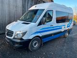 Mercedes-Benz Sprinter 316 CDI Top gepflegt  - Mercedes-Benz T