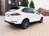 Porsche Cayenne Diesel Platinum Edition BOSE Top Zustand - Porsche Gebrauchtwagen in Salzgitter