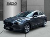 Mazda CX-30 Selection 2WD 2.0 PDC+Kamera Navi CarPlay  - Mazda CX-30 Gebrauchtwagen in Hamburg
