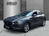 Mazda CX-30 Selection 2WD 2.0 PDC+Kamera Navi CarPlay  - Mazda CX-30 in Hamburg
