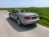 Audi A5 1.8 TFSI multitronic Cabriolet - - Audi A5 aus 2010: Cabrio