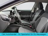 Skoda Fabia 130 Jahre 1.0 TSI 85 kW / 116 PS 7-DSG - Skoda Fabia: Tsi 85