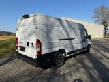 Fiat Ducato Maxi Grossr.-Kasten 35 160 L5H2 RS: 4035 - Fiat Ducato in Dortmund