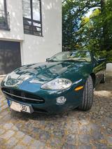 Jaguar XK8 Cabriolet - British Racing Green - 1. Hand - Jaguar XK8 von privat
