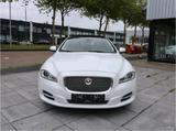 Jaguar XJ L Portfolio 3.0 Kompressor AWD - Jaguar XJ aus 2014