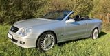 Mercedes-Benz CLK 280 AVANTG.- Liebhaberfahrzeug mit 65tkm!  - Mercedes-Benz: Cl 65