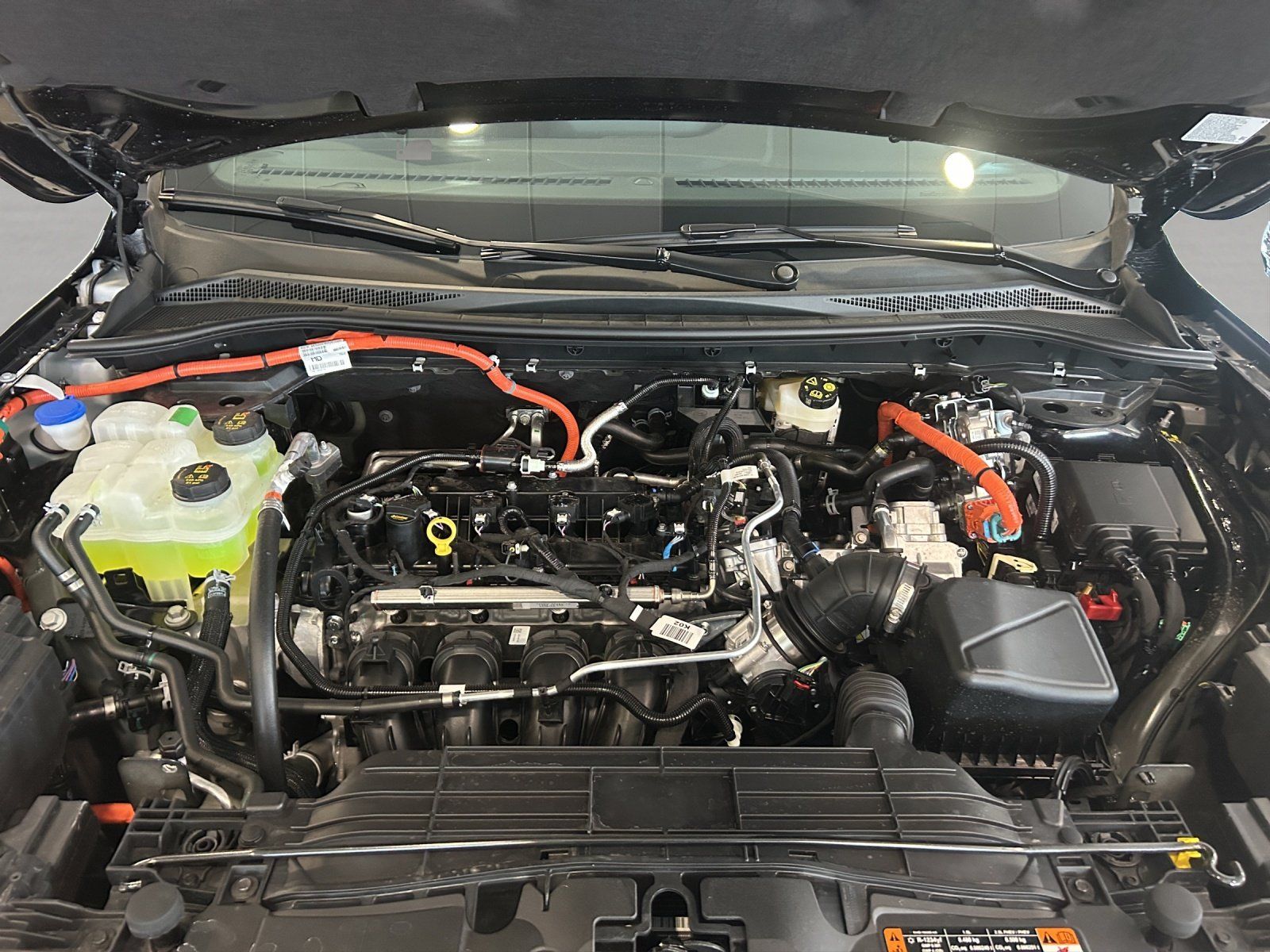 Fahrzeugabbildung Ford Kuga ST-Line FHEV,FGS 3/5 Jahre