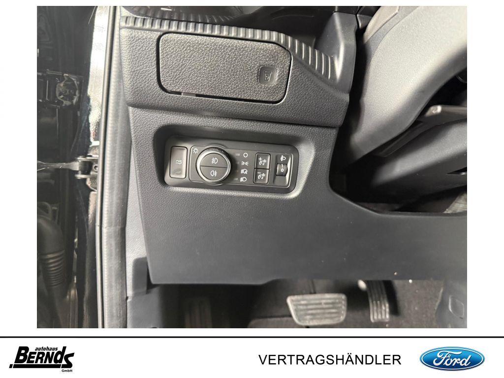 Ford Ranger 2,0 l EcoBlue Doppelkabine Autm. Wildtrak