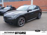 Alfa Romeo Stelvio Veloce Q4 |VELOCE|ACC|MEMORY|NAVIHARMAN& - Alfa Romeo Stelvio aus 2024