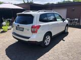 Subaru Forester 2.0D Exclusive Lineartronic Exclusive - Subaru Forester mit Schiebedach