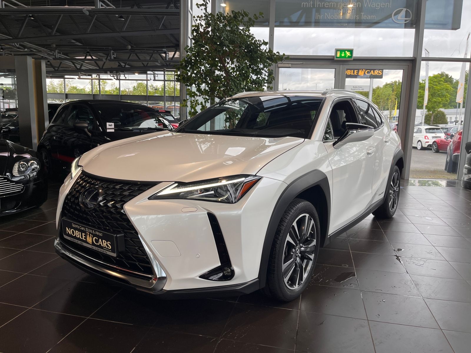 Fahrzeugabbildung Lexus UX 250 h Style AHK LED SHZ CARPLAY RFK