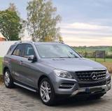 Mercedes-Benz ML 350 BlueTEC 4MATIC - - Mercedes-Benz ML 350 Gebrauchtwagen in Stuttgart