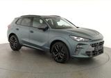 Cupra Terramar 2.0 TSI DSG 4Drive Americas CUP, HD-Mat - graue Cupra Terramar