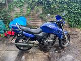 Honda Cb500 - HONDA 1996 CB500