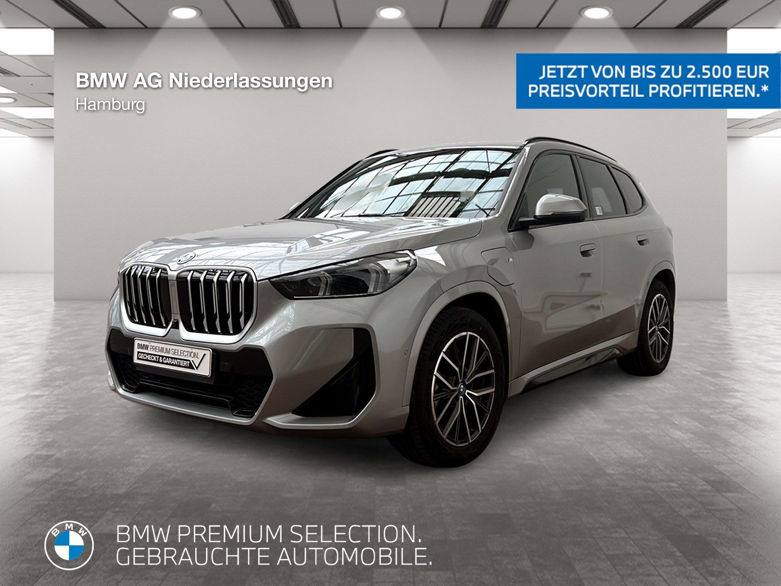 BMW X1 xDrive30e M Sport Leder AHK Driv.Assist.Prof foto 1