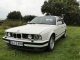 BMW 535i Alpinweiss - BMW 535 in Braunschweig