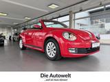 Volkswagen Beetle Cabriolet BMT 1.2 TSI NAVI SHZG KLIMA GRA - Volkswagen Beetle: Rot, Cabrio