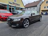 Audi A5 Cabrio 3.0TDI qu. S-tr B&O+ACC+LEDER+NAVI+XEN - Audi A5: Braun, Leder