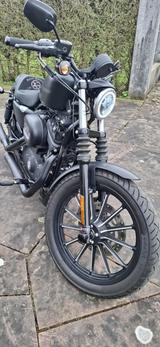 Harley-Davidson Sportster Iron XL 883 N / Nur 3.600 TKM - Harley-Davidson Sportster Iron 883