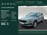 Skoda Karoq Selection 2,0 TDI 110kW 7-Gang-DSG 4x4 AHK