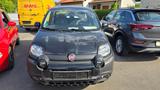 Fiat Panda City Plus 1.0 Mild-Hybrid - gebrauchte Fiat Panda aus dem Jahr 2023