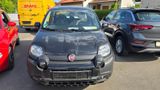 Fiat Panda City Plus 1.0 Mild-Hybrid - Fiat Panda aus 2023