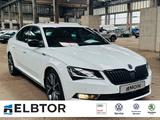 Skoda Superb Limousine Sportline TDI DSG LED RFK - Skoda Superb Gebrauchtwagen in Hamburg