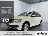 Skoda Kamiq Active 1.0 TSI AHK Ganzjahresreifen - Skoda Gebrauchtwagen in Brandenburg an der Havel