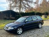 Audi A4 2.5 TDI Avant Quattro,Recaro,6Gang - Audi A4 aus 2000: Kombi
