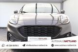 Ford Puma ST-Line X RFK LED VC ACC - Ford Puma mit Anhängerkupplung