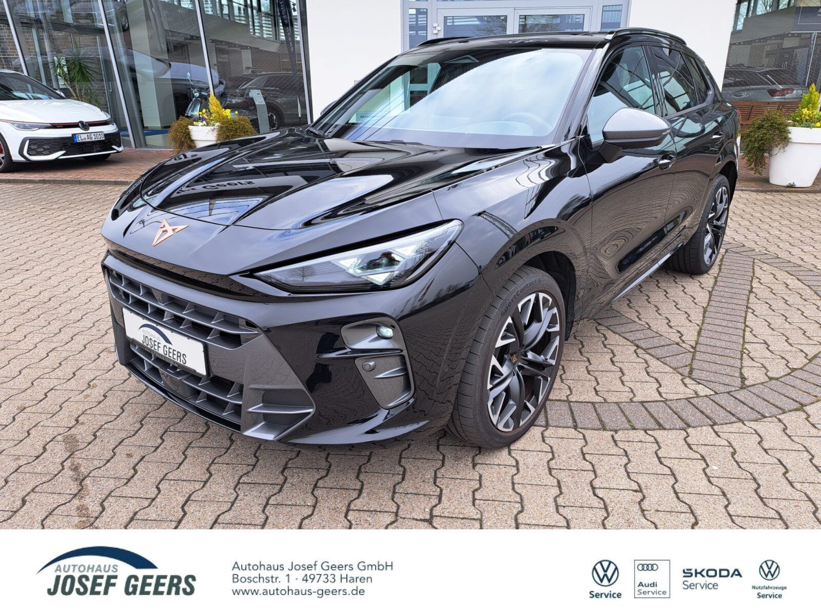 CUPRA Terramar VZ 2.0 TSI DSG 4x4 Pano+AHK+LM 20''+ACC