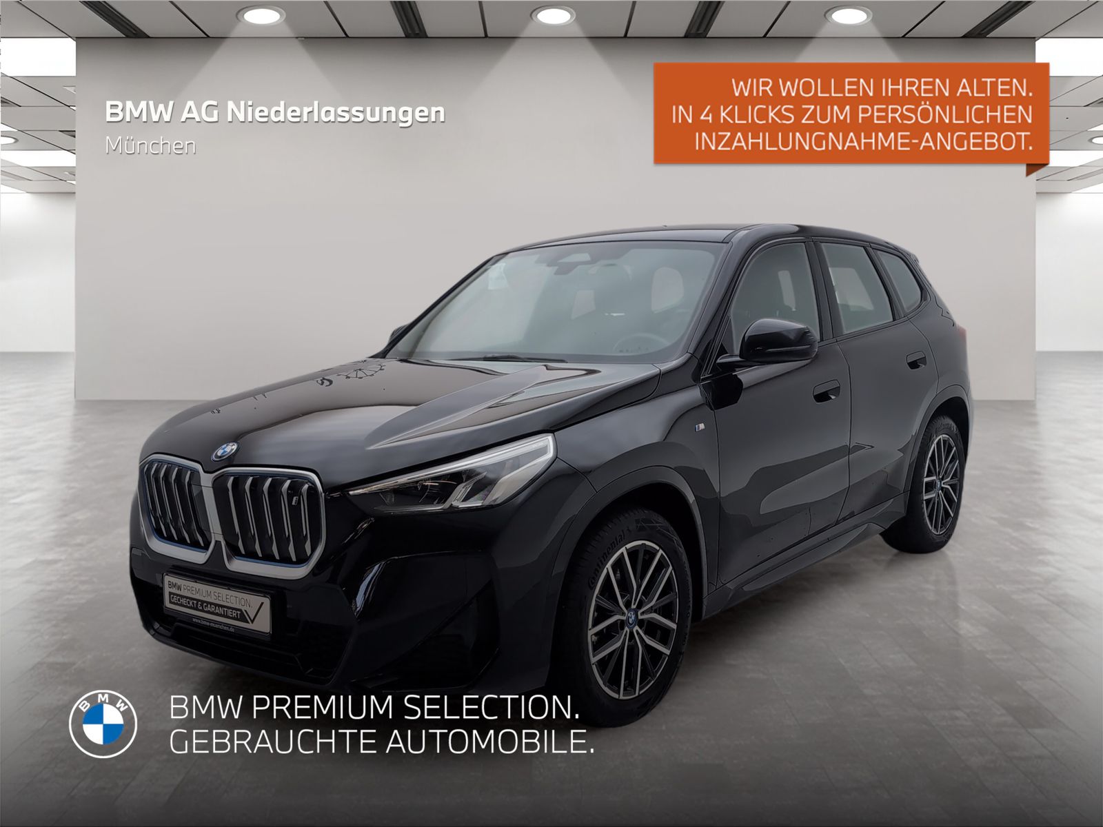 BMW iX1 xDrive30 M Sport Harman/K Kamera Alarm Sitzh