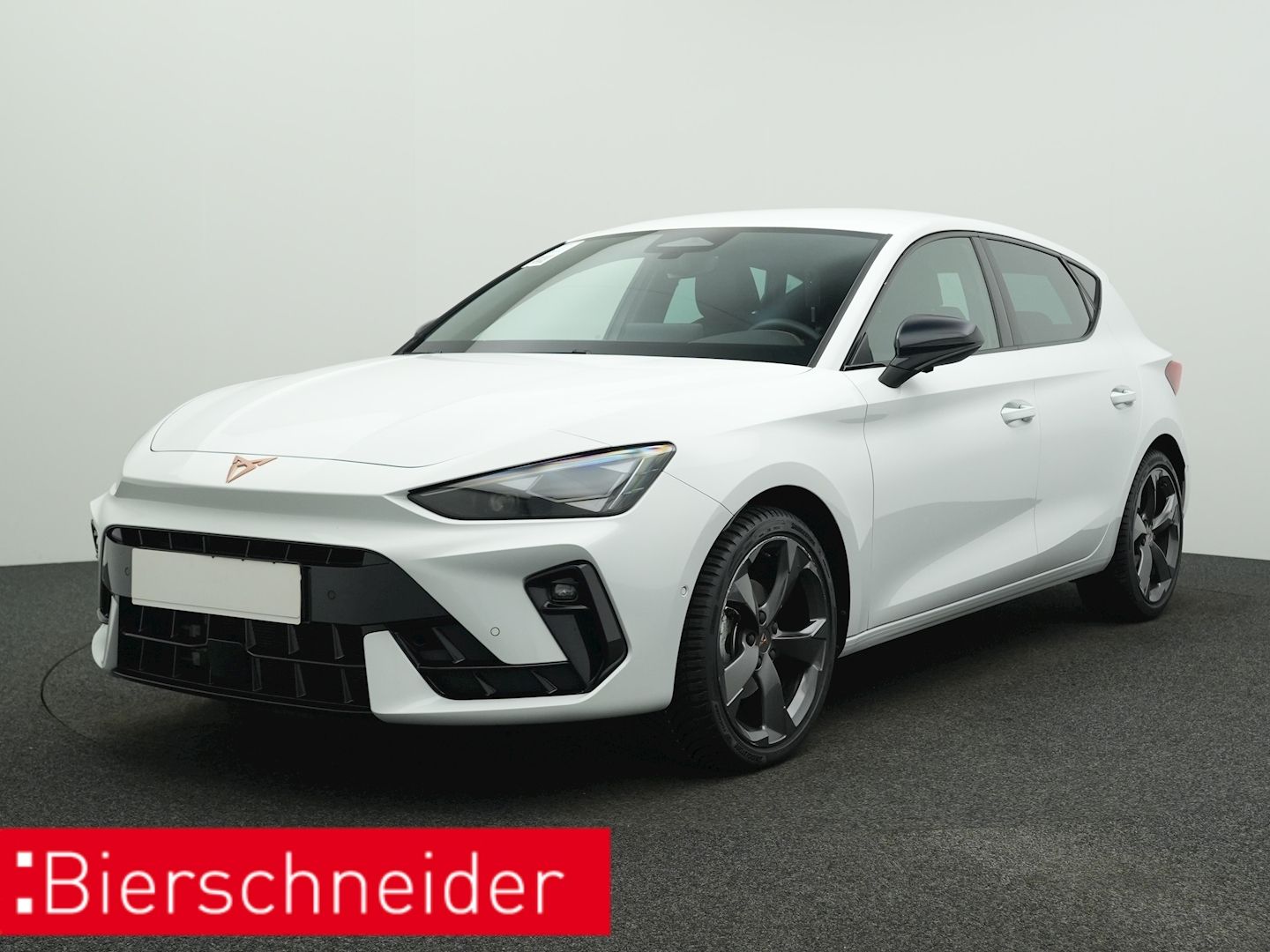 Cupra Leon 1.5 TSI DSG 5-J-GAR NAVI KAMERA LED