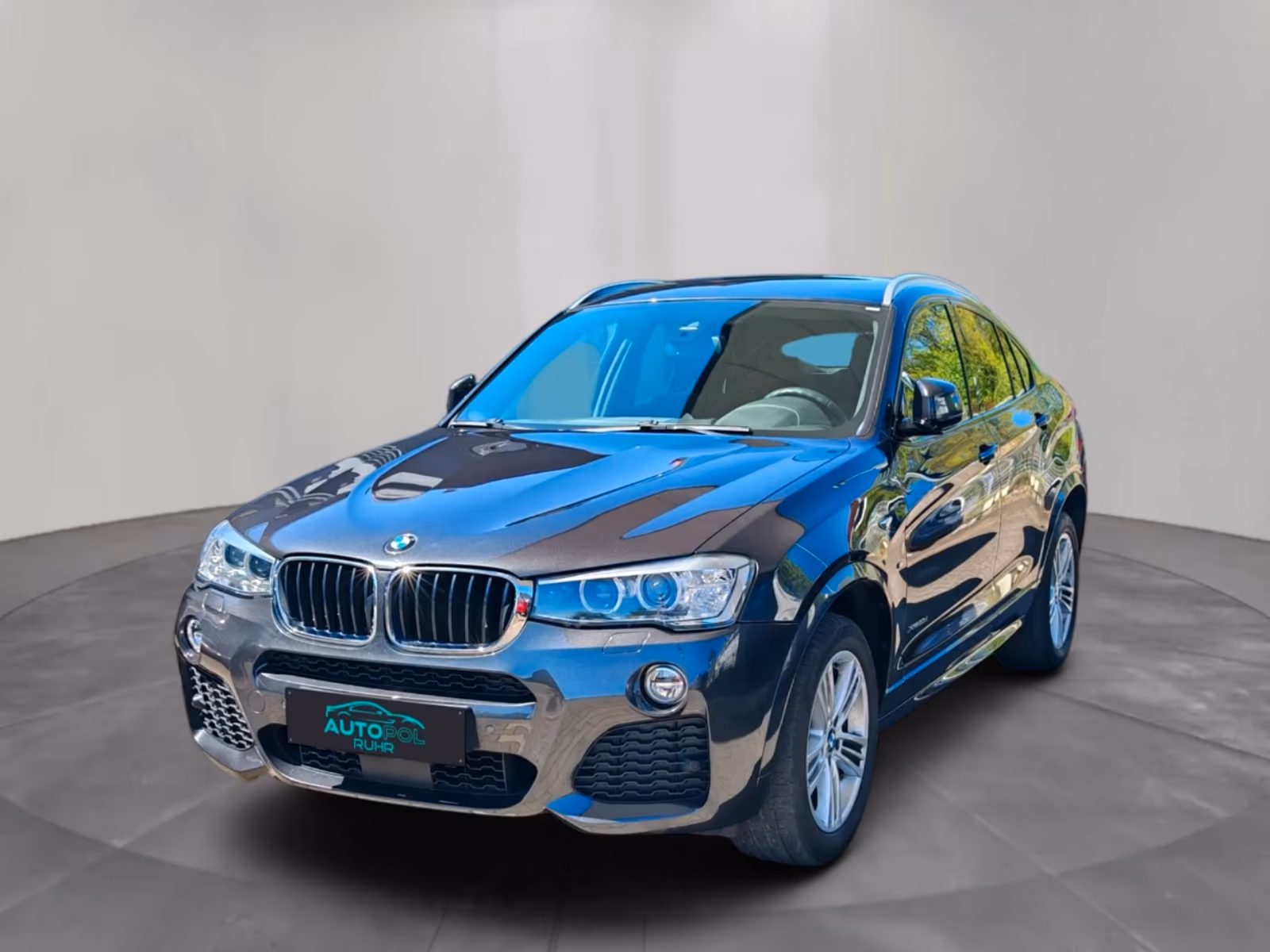 BMW X4 xDrive 20 d M Sport ACC Spur Kamera