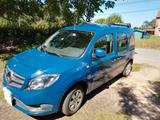 Mercedes-Benz Citan - Mercedes-Benz Citan: Privatanbieter