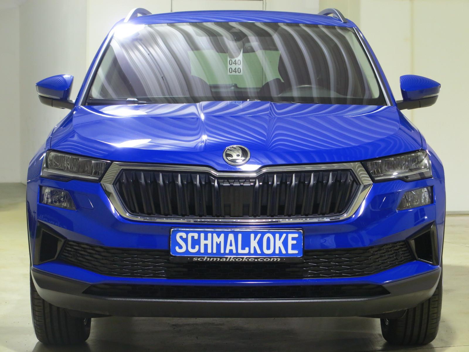 Skoda Karoq TDI 2.0 SCR DSG7 Tour Navi ACC DAB LM17