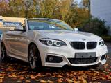 BMW 220i CABRIO*M SPORT PAKET SHADOW*AUT*GARANTIE* - BMW 220 in Duisburg