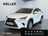 Lexus NX 300h Amazing Edition *Bi-LED*ACC*CAM*SHZ*DAB* - Lexus aus 2021