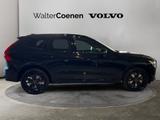 Volvo XC60 T8AWDPlug-in Hybrid Plus Black Edition,FHZ - : Geländewagen, Awd