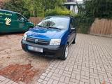 Fiat fiat panda 169 - Fiat Panda Gebrauchtwagen in Hannover