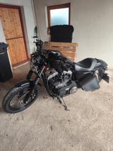 Harley-Davidson Sportster XL 1200 Nighster  - HARLEY-DAVIDSON 2007 SPORTSTER 1200