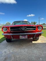 Ford Mustang - Ford Mustang aus 1965: Coupe