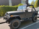 Jeep Wrangler YJ H-Kennzeichen Cabrio Hard... - Jeep: Yj