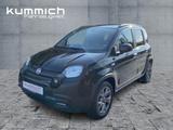 Fiat Panda City Cross/SHZ/CARPLAY - Fiat Panda mit Hybrid-Antrieb