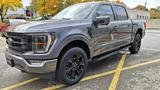 Ford Lariat *BLACK EDITION* V8+AUTOMATIK+ACC - Ford F 150 Neuwagen