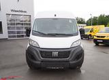 Fiat Ducato Maxi 35 140 L4H2 - Fiat Ducato: L4