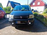 Fiat Panda1,2l 69 Ps - Fiat Panda: Ps