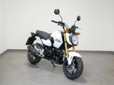 Honda MSX125 GROM 6 Jahre Garantie!