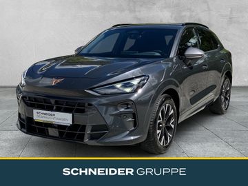Cupra Terramar - 1